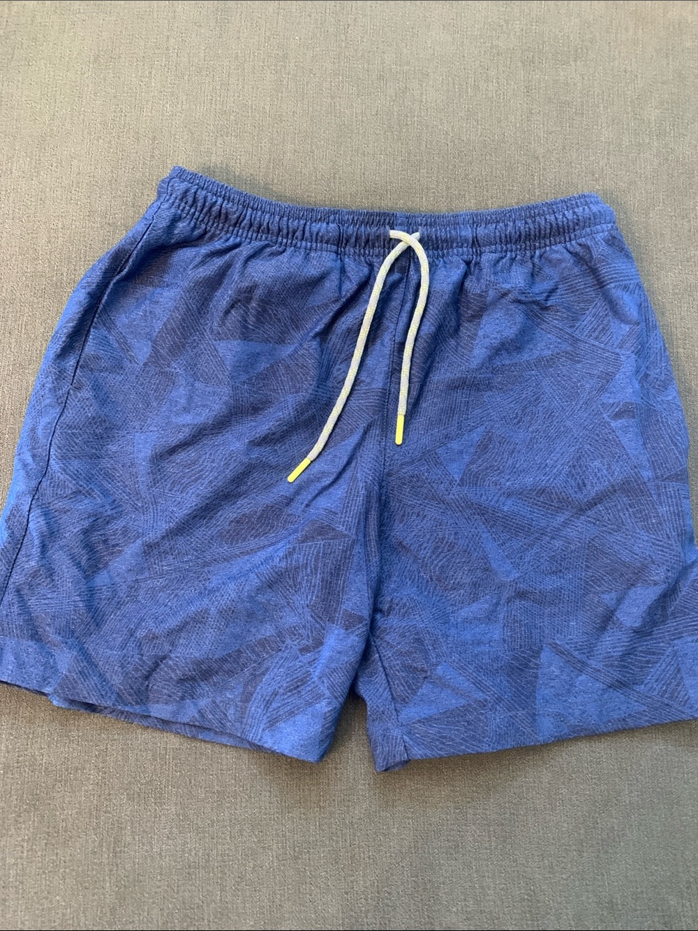 Chubbies Blue Gym Shorts